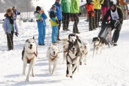 Lenk 2012 SM